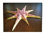 Christmas Star. Digital Sculpting for 3D-Printing and Production