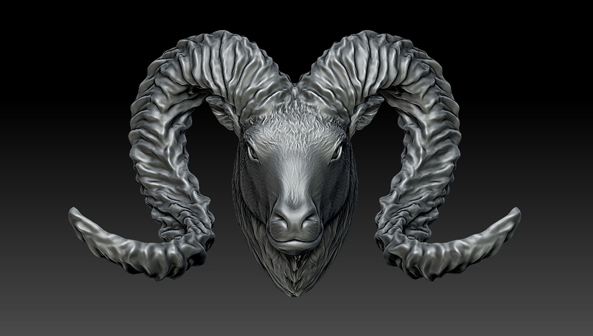 Frontal view of ram head sculpture with symmetrical horn composition and strong sculptural presence
