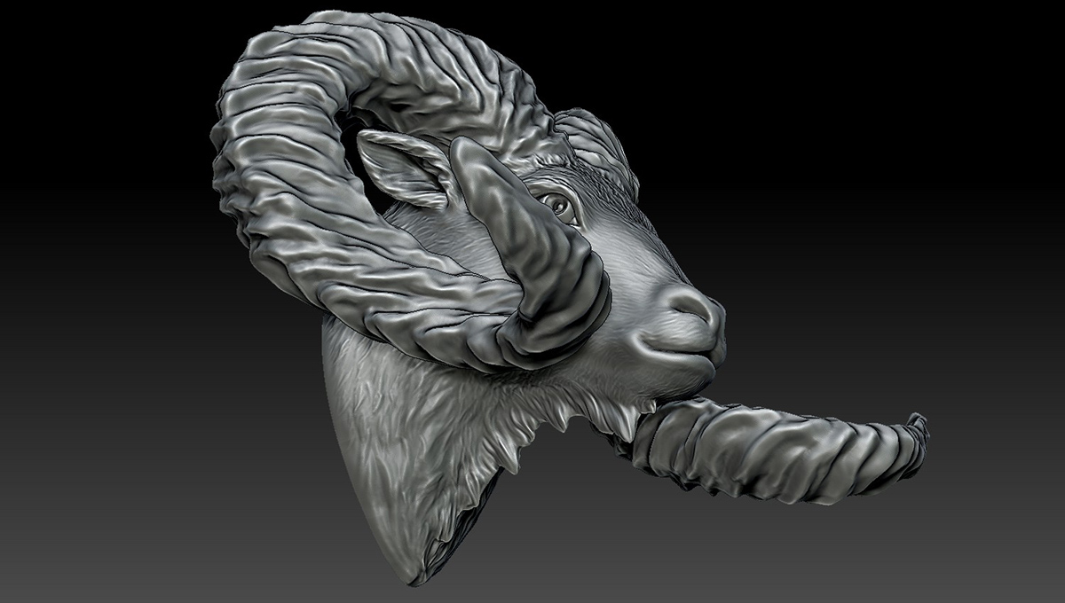 Three-quarter view of ram head sculpture showing layered horn structure and detailed surface transitions