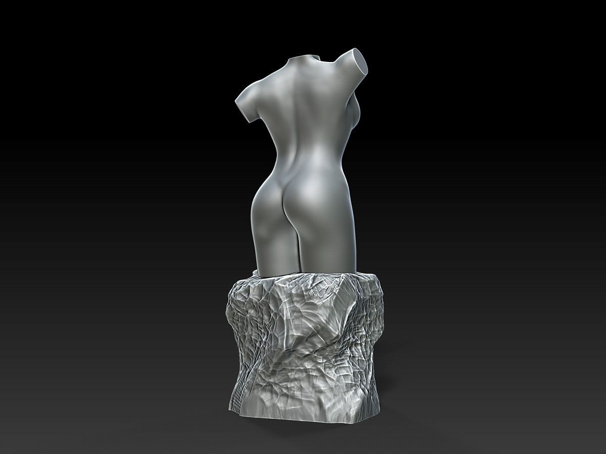 Sculpture of the Nude Female Torso 