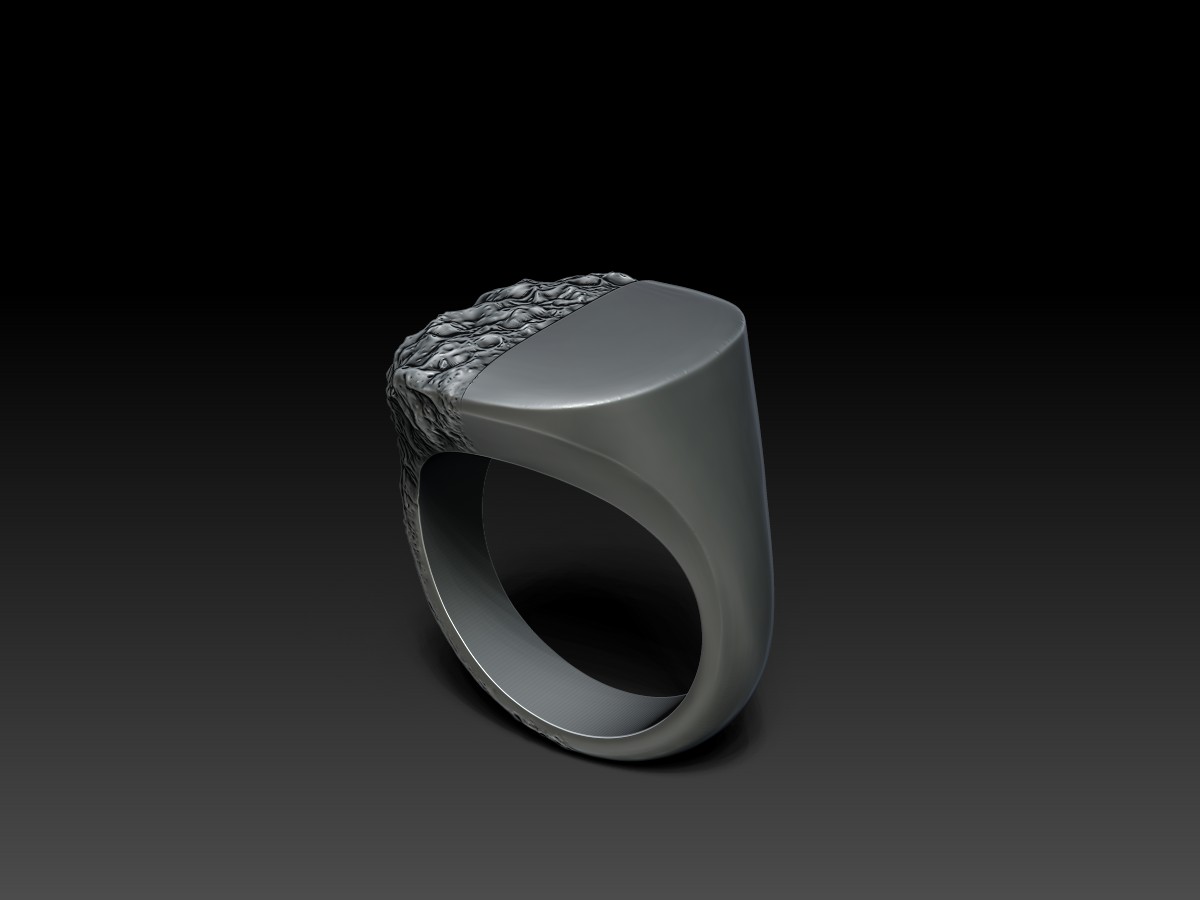 “Scruffy-Luminous” Signet Ring. Sculpted Jewellery Design.