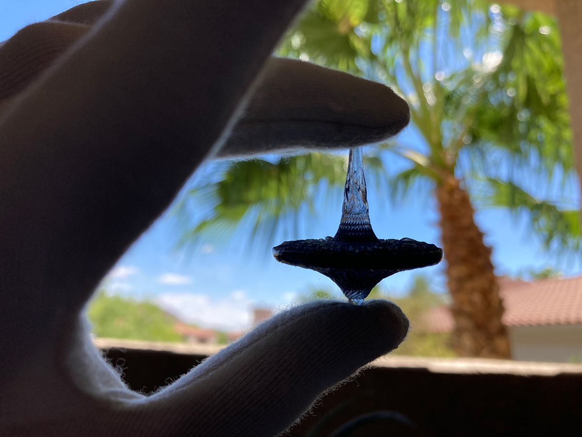 Transparent sunflower sculptural top held against sunlight — silhouette and internal structure revealed through light